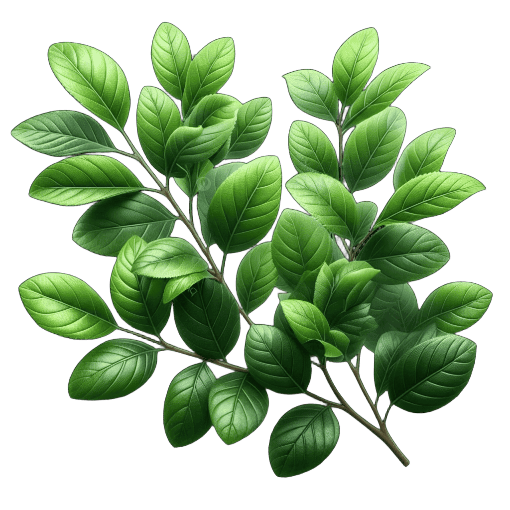 Loading Texture