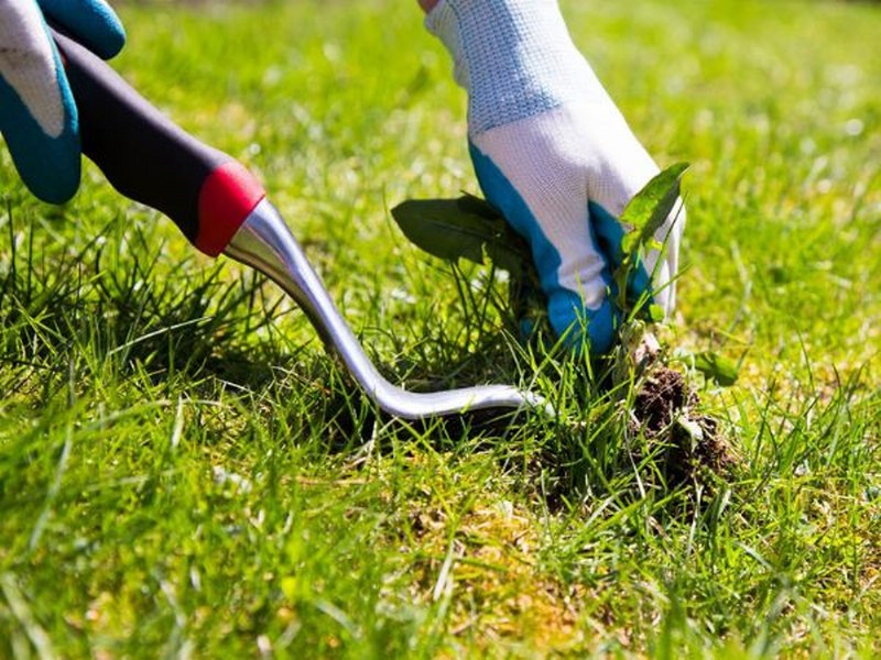 YABANCI OT KONTROLÜ