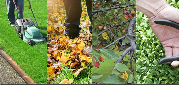 Çimler için en iyi bakım takvimi nasıl olmalıdır?