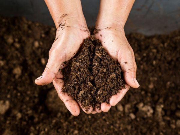 Çimler için en iyi toprak türü nedir?