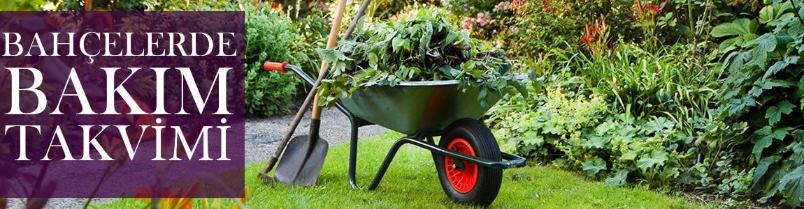 Çim Bakım Takvimi