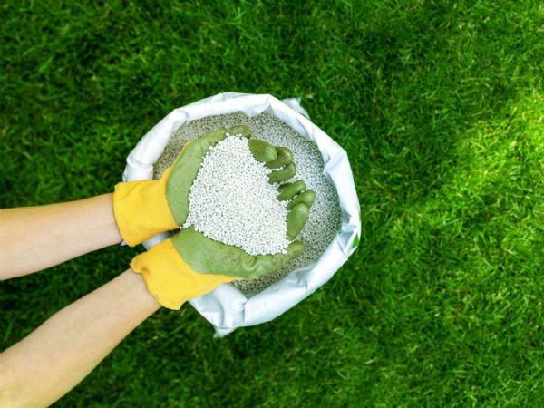 Çimlere ne kadar gübre verilmeli?