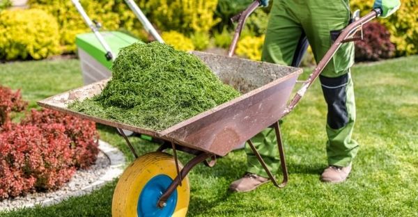 Çim bakımının önemi nedir?