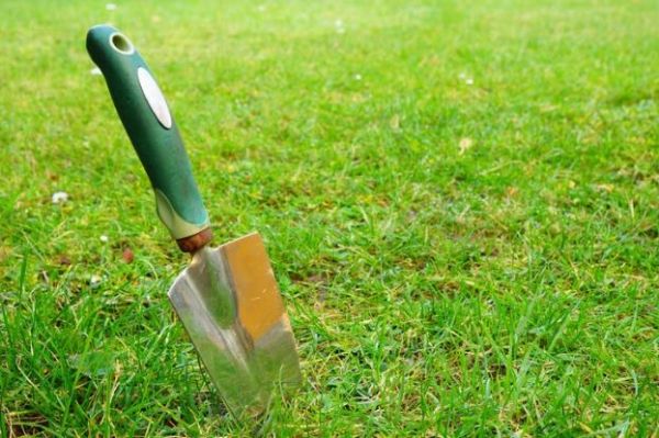 Çimlerin fazla sulanması ne gibi sorunlara yol açar?