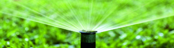 Çimlerinizi nasıl sulamalısınız?