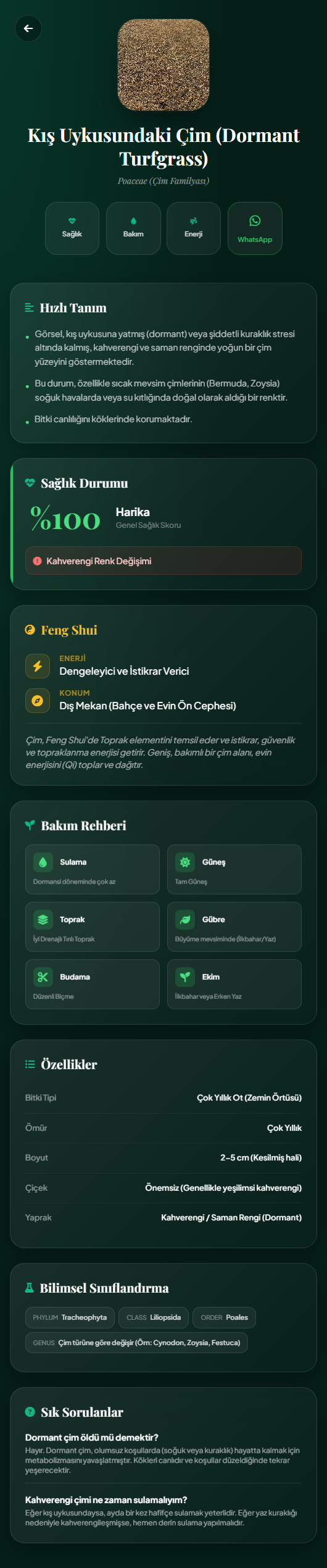 Akıllı Çim Bakımı Detay 1
