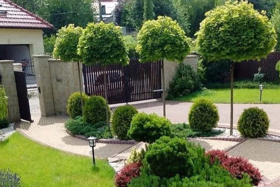 Ekonomik peyzaj çözümleri ve maliyet hesaplama Detay 3