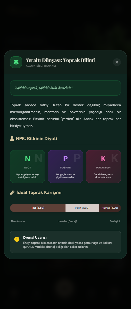 Sonraki