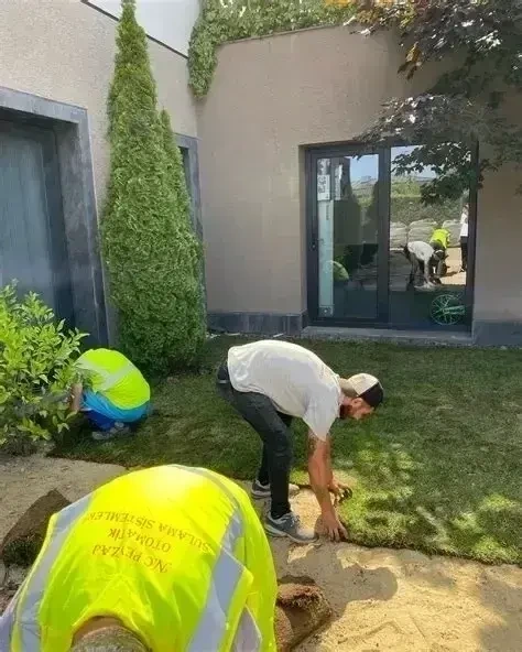 Periyodik Bahçe Bakımı