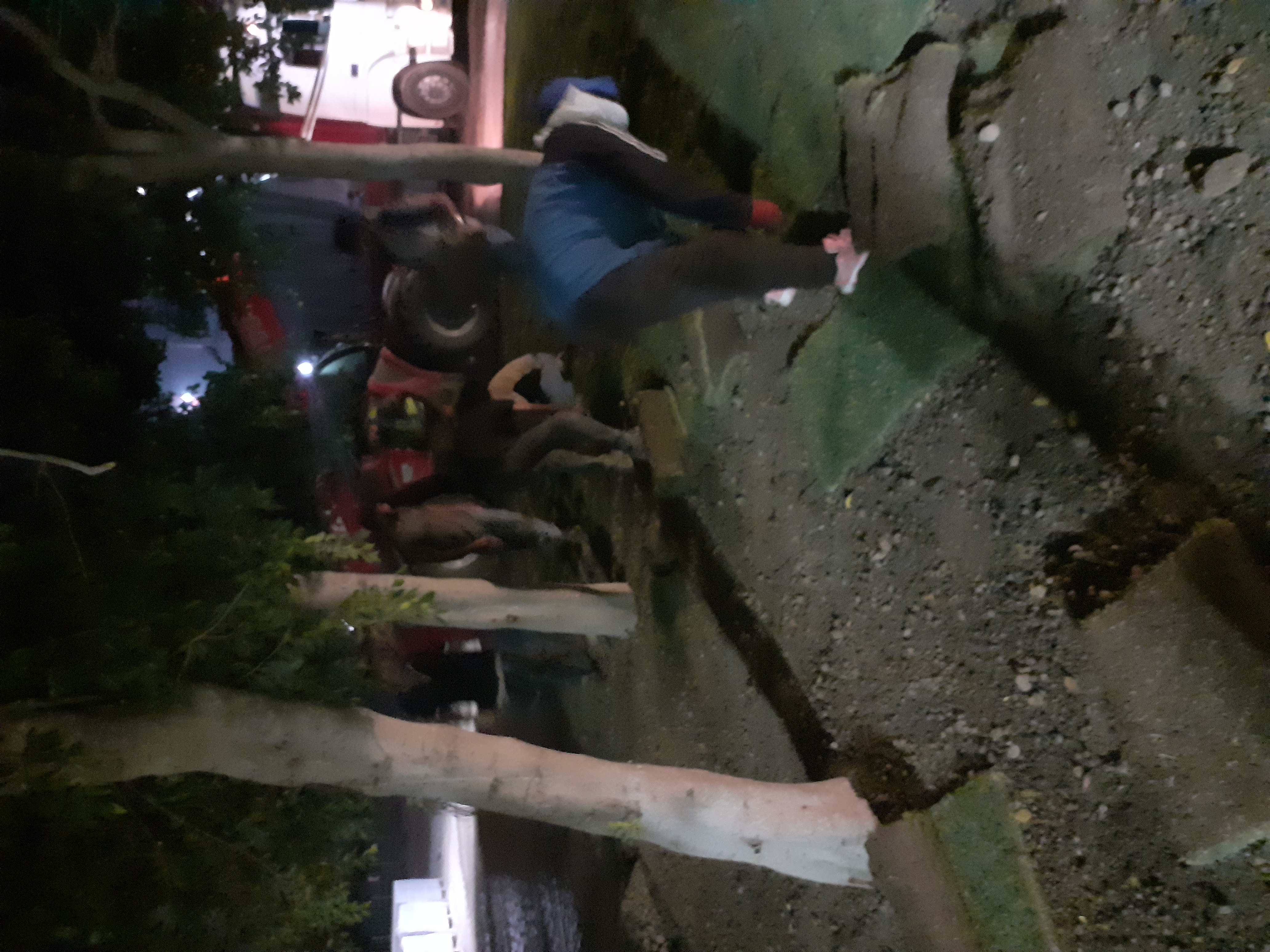 Detay